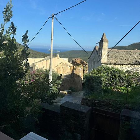 Joli T2 In Cap Corse Lejlighed Ersa Eksteriør billede